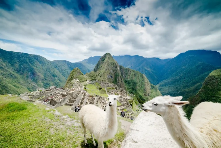 Experiencia guiada en Machu Picchu photo 4