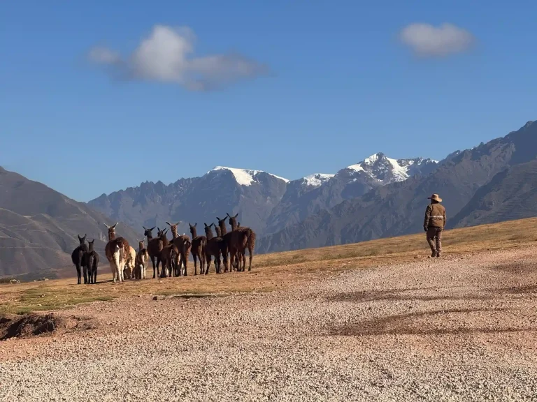 Montaña Arcoíris (Vinicunca) – Tour de Día Completo imagen de galería 3